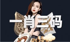 二四六免费材料308