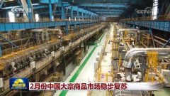 2月份中国大宗商品市场稳步苏醒